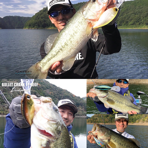 日本DUEL杜尔乐深潜小胖鲈鱼进口饵路亚假饵浮水米诺石斑鱼饵鳜鱼 - 图2