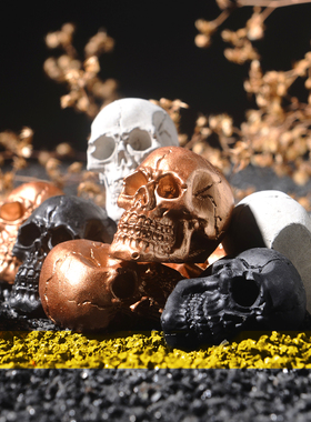 随泥网红ins个性创意园艺摆件万圣节仿真装饰小骷髅头花盆铺面石