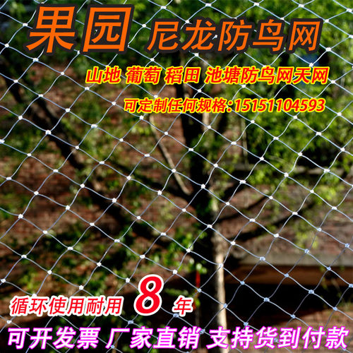 尼龙防鸟网白色农业果园果树天网葡萄鱼塘樱桃树枸杞农田防鸟用网 - 图0