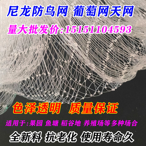 尼龙防鸟网白色农业果园果树天网葡萄鱼塘樱桃树枸杞农田防鸟用网 - 图1