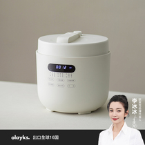 olayks Olek Original design Voltage Powerpan Home Intelligent 5L Large capacity Multi-functional high-pressure boiler Rice Cooker