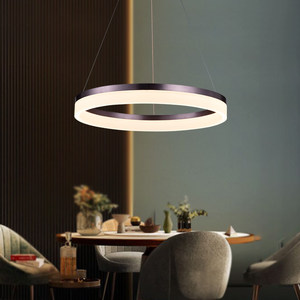 新特丽简约现代客厅吊灯环形楼梯轻奢网红灯饰极简餐厅灯北欧大气