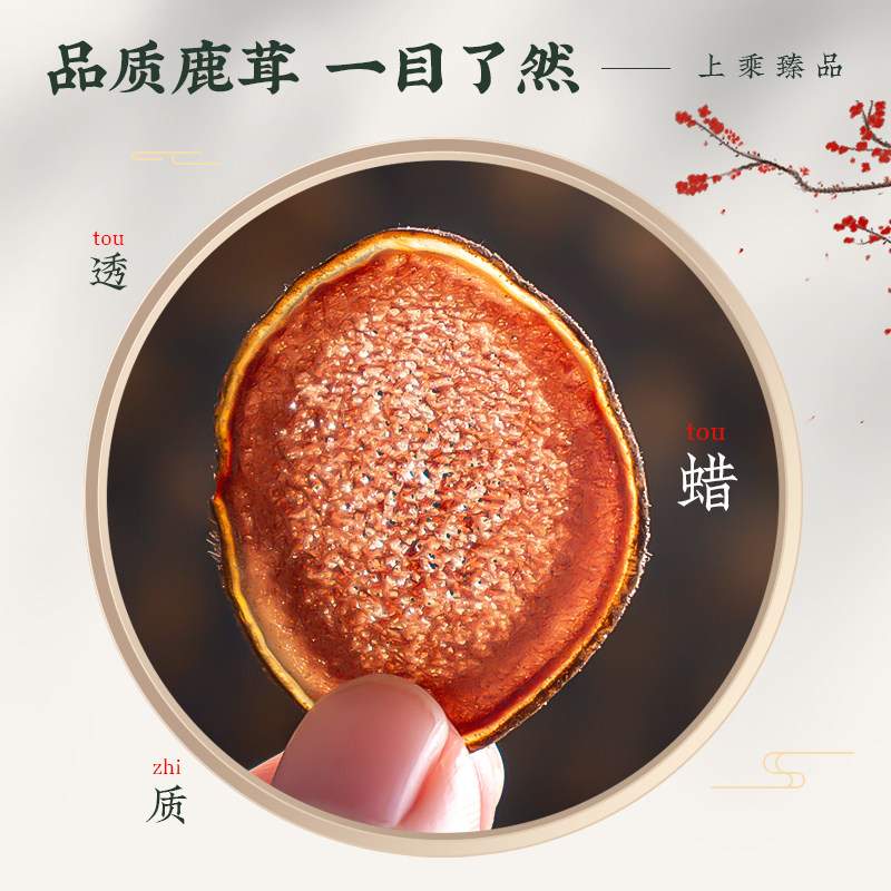 鹿茸片正品鹿茸白粉片泡酒药材干片 绿润堂鹿茸片