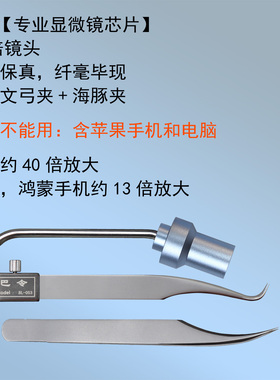 50倍放大，清清楚楚拔黑头粉刺夹
