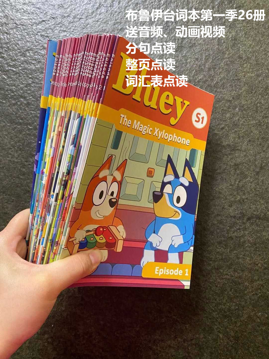 Bluey布鲁伊 新人首单立减十元 2021年12月 淘宝海外
