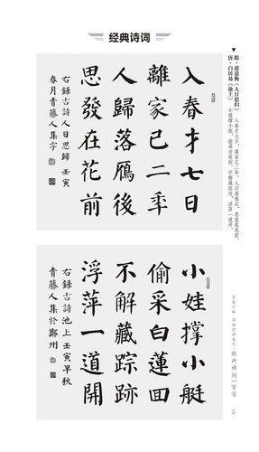 颜勤礼碑集字经典诗词一百首 青藤字帖颜真卿楷书集字古文古诗词毛笔楷书作品成人书法集字临摹创作字帖 河南美术出版社 - 图0