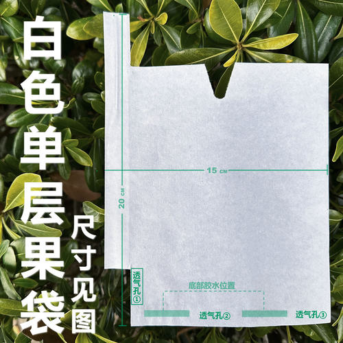 桃子套袋专用袋黄桃袋桃子纸袋黄桃水蜜桃纸袋防虫水桃袋白色 - 图0