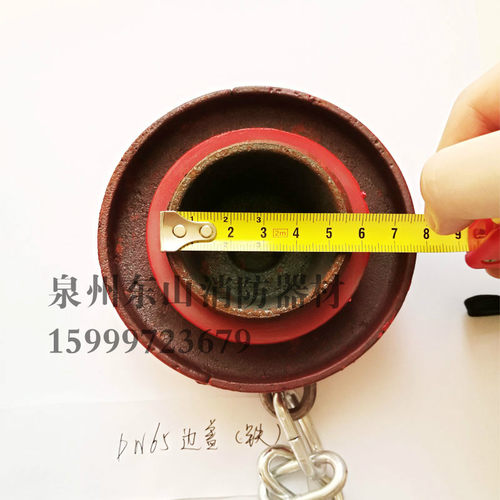 SQD100/150消防栓水泵接合器出水盖/边盖/堵头/侧盖/室外消火栓配 - 图2