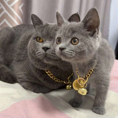 宠物项圈送铃铛挂饰猫狗狗项链不锈钢 P项链大金链子小狗猫咪通用 - 图0
