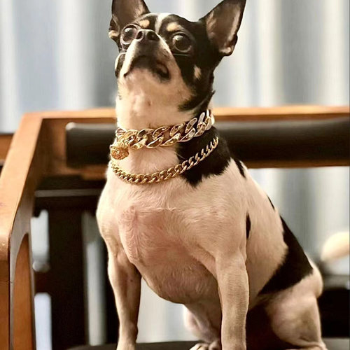 宠物项圈送铃铛挂饰猫狗狗项链不锈钢 P项链大金链子小狗猫咪通用 - 图2