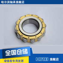 HRB RN309 M cycloidal needle minus 502309H Harbin bearing eccentric sleeve cylindrical roller