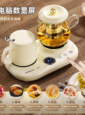 志高生壶多功能家用办公室小型玻璃花茶壶迷你恒温水杯送礼物礼品
