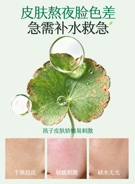 植物主义涂抹式睡眠面膜舒缓保湿
