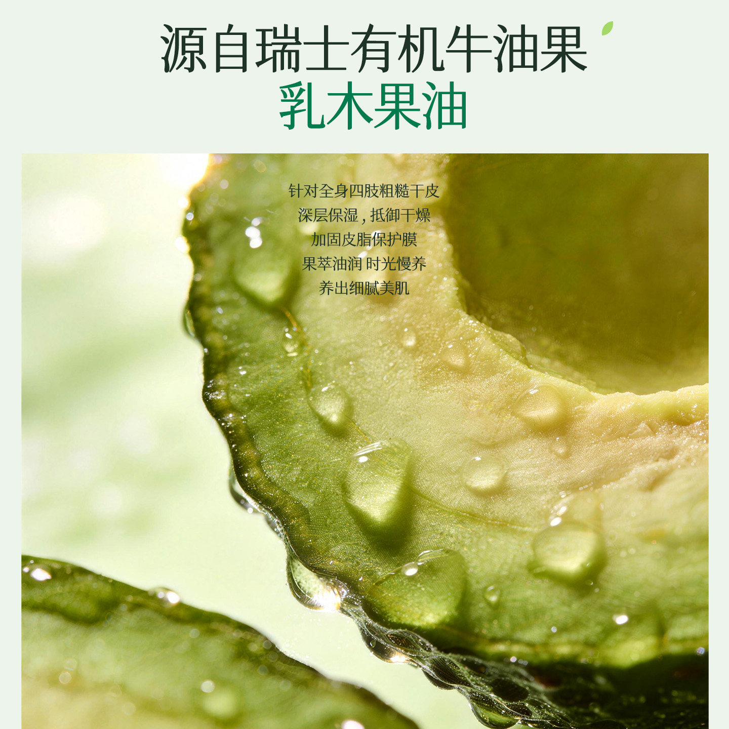 植物主义准孕妇身体乳专用全身保湿滋润夏季哺乳期旗舰店官方正品