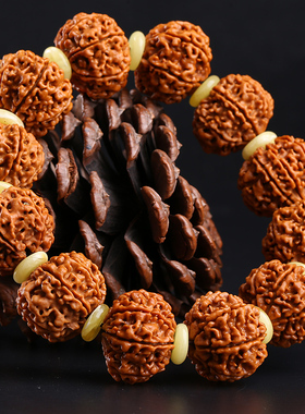 正宗七瓣粗纹收藏级大金刚菩提子