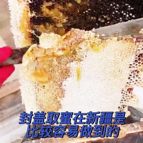 新疆若羌黑蜂枣花土蜂蜜农家自产原产地原蜜无添加2斤包邮 - 图3