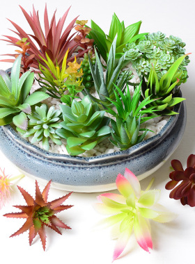 仿真多肉植物绿植装饰盆栽仙人掌