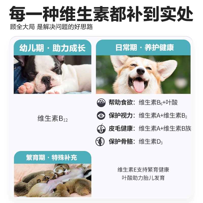 卫仕复合维生素狗狗用泰迪金毛幼犬补充营养品宠物保健犬多维 - 图3