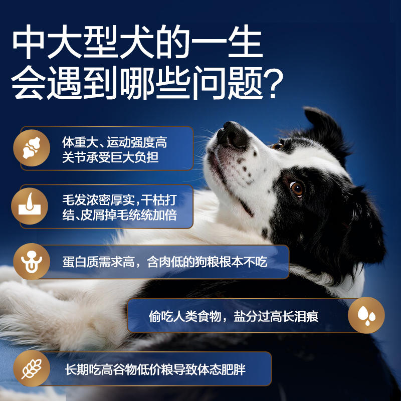 商品缩略图 1