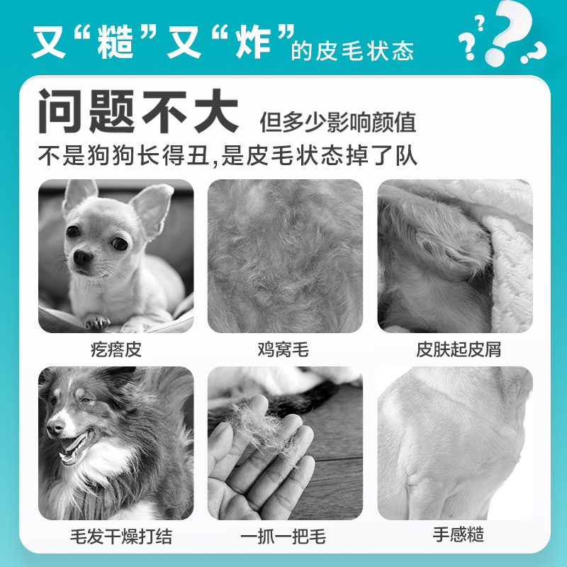 卫仕卵磷脂狗狗美毛泰迪犬用爆毛粉鱼宠物专用狗软磷脂油 - 图1