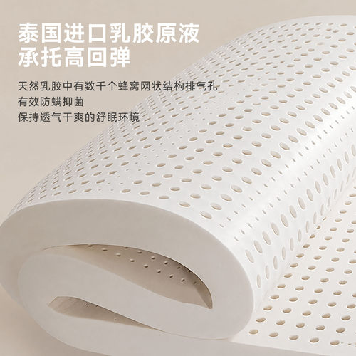 【政府补贴】爱舒上海之恋席梦思护脊腰椰棕独立弹簧偏硬卧室床垫 - 图2