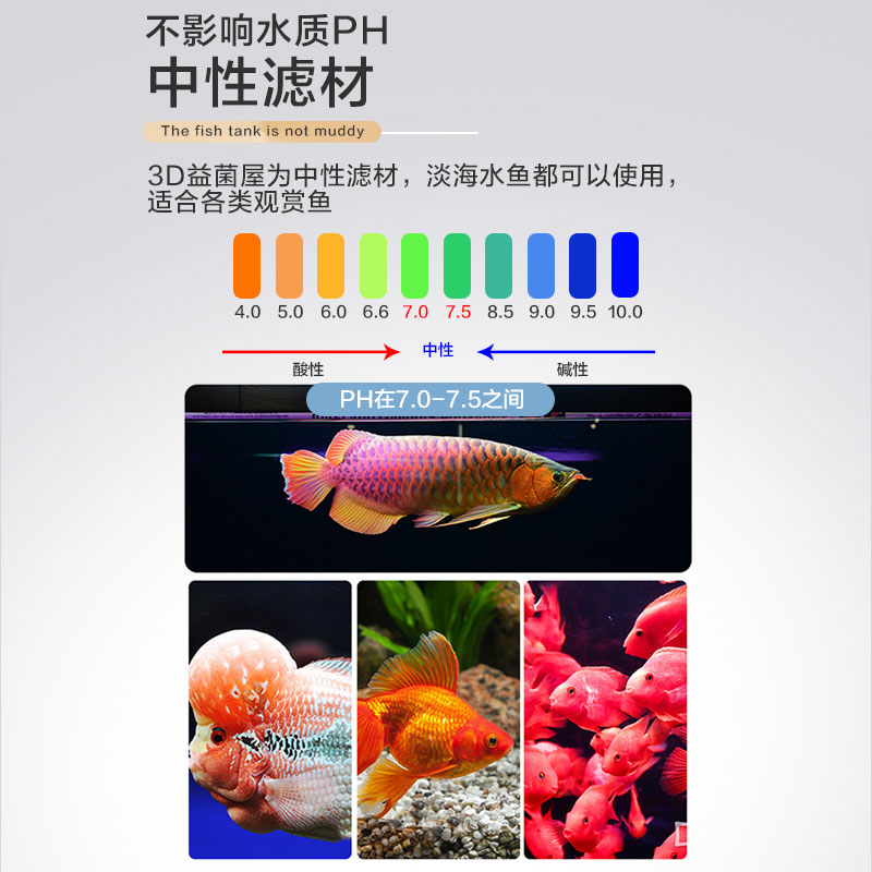 鱼缸过滤材料硝化细菌屋陶瓷环鱼池净化水质石英球过滤器专用滤材 - 图3