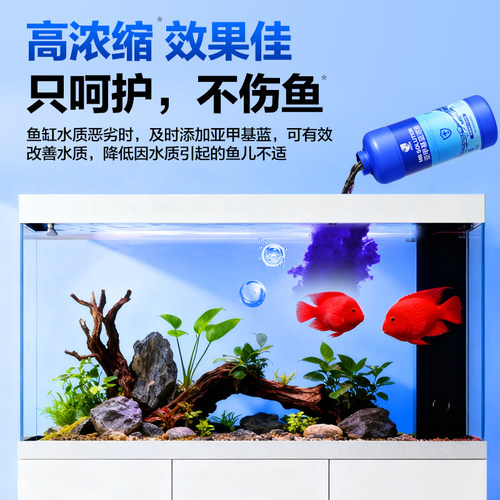 亚甲基蓝观赏鱼专用非鱼药白点净烂身烂尾水霉锦鲤鱼缸水质净化剂 - 图1