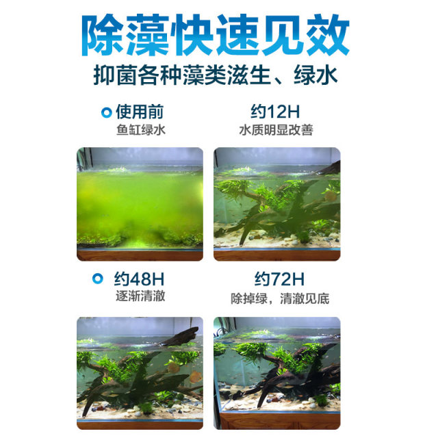 Algaecide 12 hours to remove moss and algae from green water in fish tank
