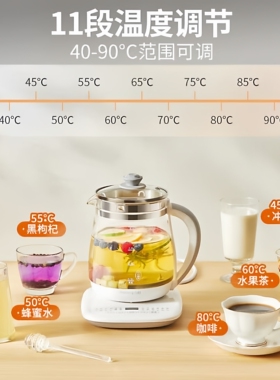 九阳养生壶家用玻璃花茶壶