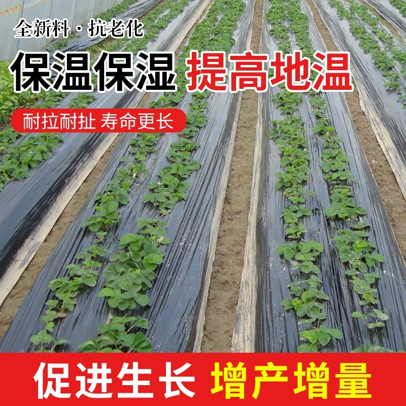 保温保湿白地膜大棚塑料薄膜白色地膜蔬菜种子过冬黑色农用工程膜,淘宝优惠券,粉丝福利购,淘宝优惠卷