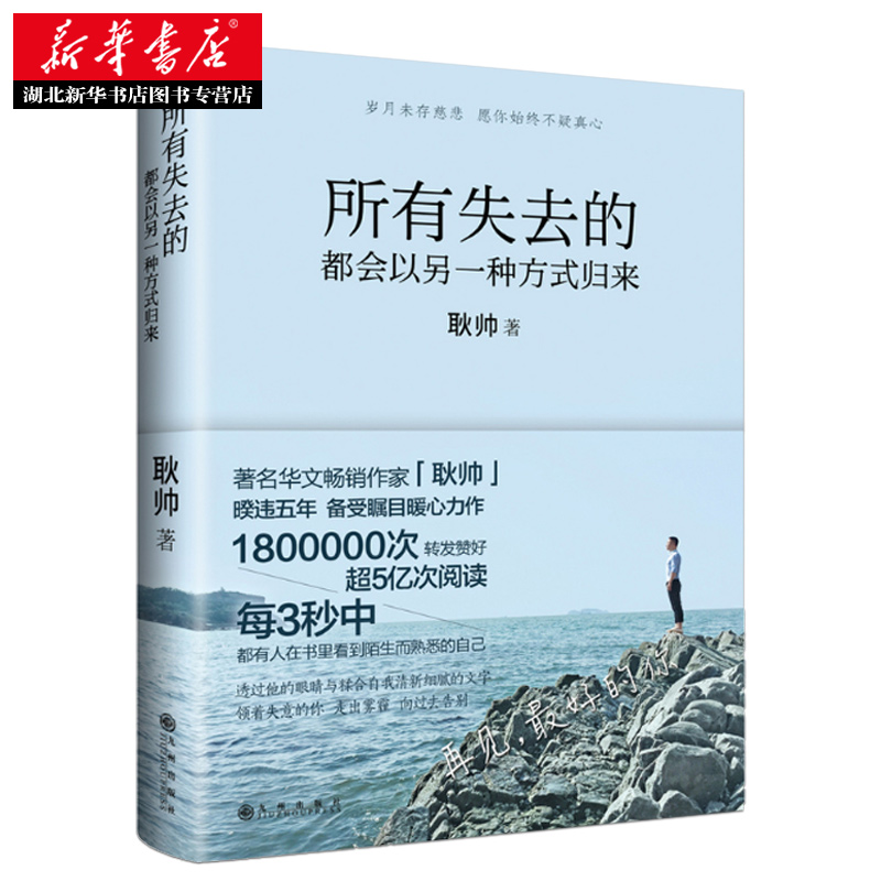 正版现货 所有失去的都会以另一种方式归来 耿帅抖音同款书籍心灵鸡汤女性气场爱的正能量信心青春文学小说成功励志畅销书排行榜 - 图2