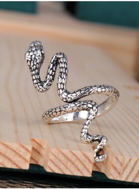 J274设计感弯曲眼睛蛇造型指环冷淡风时尚个性戒指小众轻奢食指戒