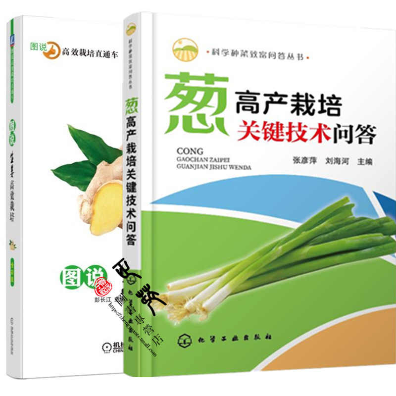 分葱种子 新人首单立减十元 21年8月 淘宝海外