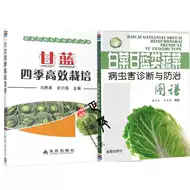 蔬菜品种 新人首单立减十元 21年8月 淘宝海外