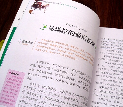 绿山墙的安妮正版蒙哥玛利原版原著国际大奖儿童文学小说适合青少年小学生阅读三四年级五六年级课外书籍系列全套寒暑假经典书目 - 图0