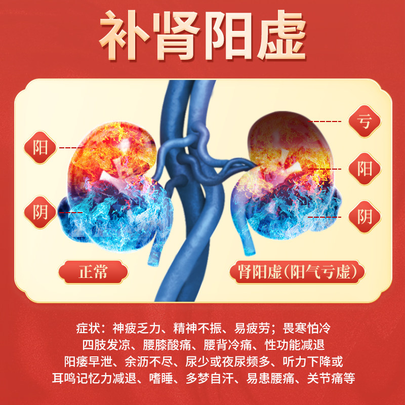 五子衍宗丸补肾养精固精肾虚药阳壮 时景大药房健脾益肾
