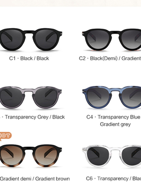 镁作遮阳椭圆美式情侣偏光墨镜