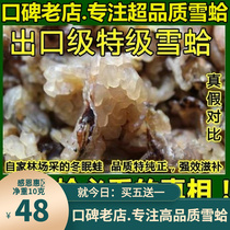 Snow clam oil 10g Tongrentang special class forest frog oil Changbai Mountain Snow paste Stew papaya clammy oil conjoined oil gift box