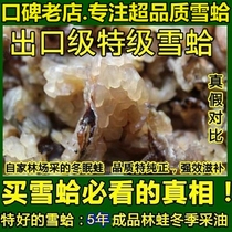 Snow Clams Northeast Forest Frog Oil Snow Clam Oil Dry Goods 20g Jilin Changbai Mountain Frog Oil Papaya Snow Kham Cream