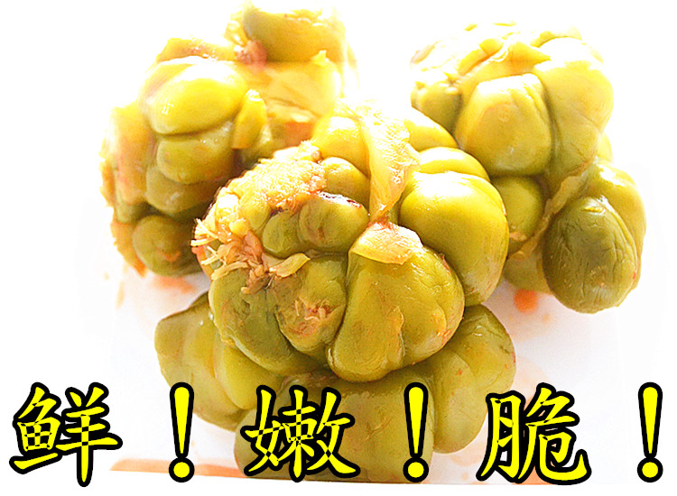 正宗延边特产农家榨菜疙瘩芯优于乌江涪陵即食咸菜下饭菜500g - 图0