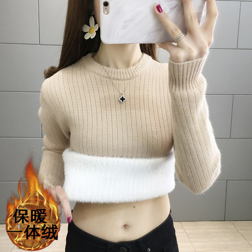 加绒加厚圆领一体绒毛衣女上衣秋冬针织衫2025修身打底衫内搭长袖 - 图1