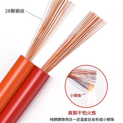 优质纯铜24AWG杜邦线10 20p 60芯40P排线扁平0.5平方排线FC连接线 - 图0