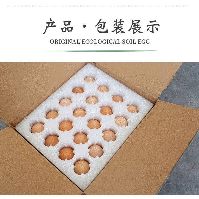 快大型青脚麻鸡种蛋受精蛋自然受精土鸡种蛋可孵化小鸡蛋宠物鸡,淘宝优惠券,粉丝福利购,淘宝优惠卷