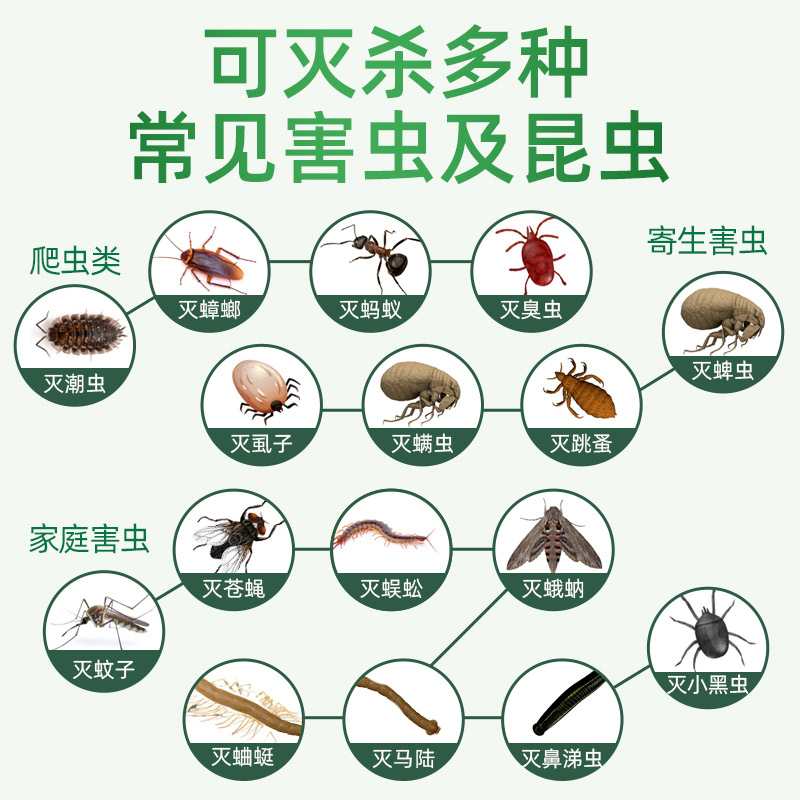 杀虫剂家用床上灭蚂蚁除跳蚤杀蟑螂药喷剂驱喷雾去神器非无毒室内 - 图2