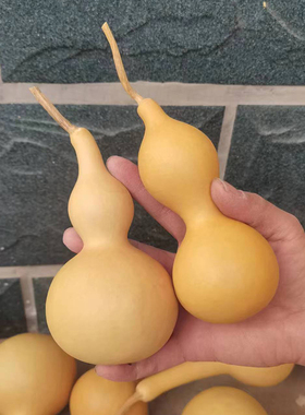 天然葫芦挂件葫芦摆件中国结五帝钱木质大葫芦卧室窗户厕所真葫芦
