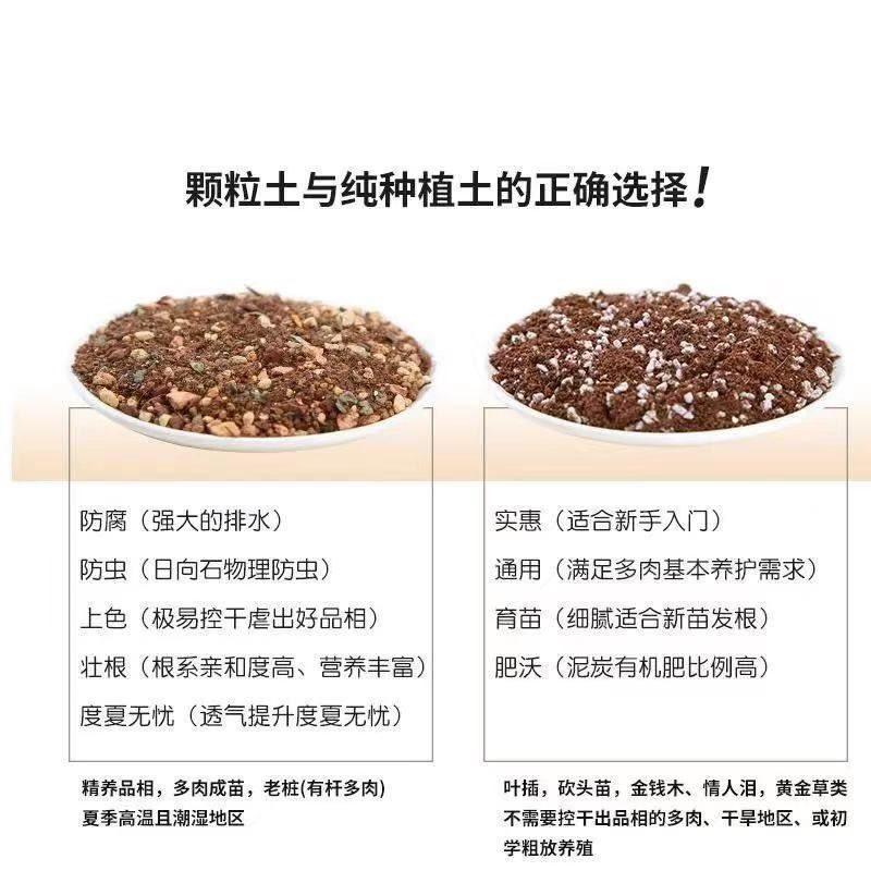 多肉专用土植物营养土壤种植土大小袋泥铺面石纯颗粒泥炭花土盆栽,淘宝优惠券,粉丝福利购,淘宝优惠卷