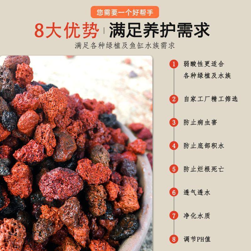 云南天然火山石颗粒养花火山石鱼缸底砂垫底酸性兰花多肉造景腾冲,淘宝优惠券,粉丝福利购,淘宝优惠卷