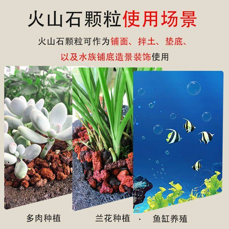 云南天然火山石颗粒养花火山石鱼缸底砂垫底酸性兰花多肉造景腾冲,淘宝优惠券,粉丝福利购,淘宝优惠卷