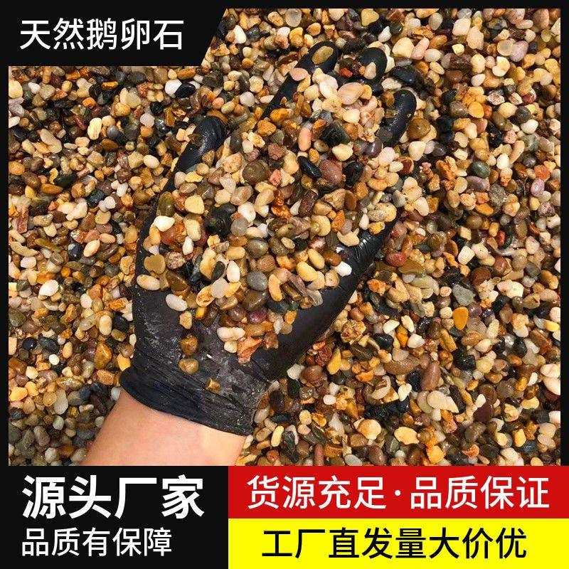 50斤彩色鹅卵石原生溪流石底砂鱼缸铺底水箱装饰过滤造景石子豆石,淘宝优惠券,粉丝福利购,淘宝优惠卷