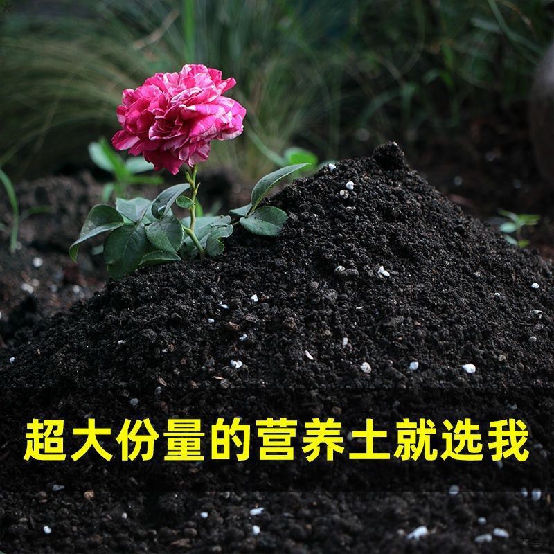 40斤通用花土营养土通用型种花养花种菜土壤大包种植土壤有机肥料-图2